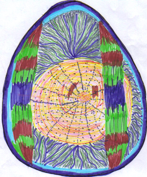 Phoenix Egg